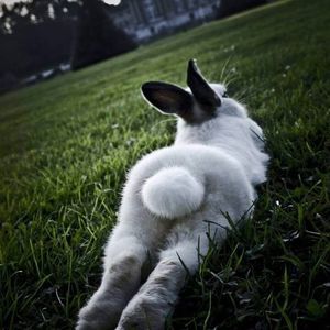 Meet your Posher, Jan